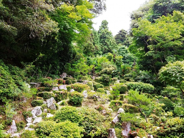 投稿写真1