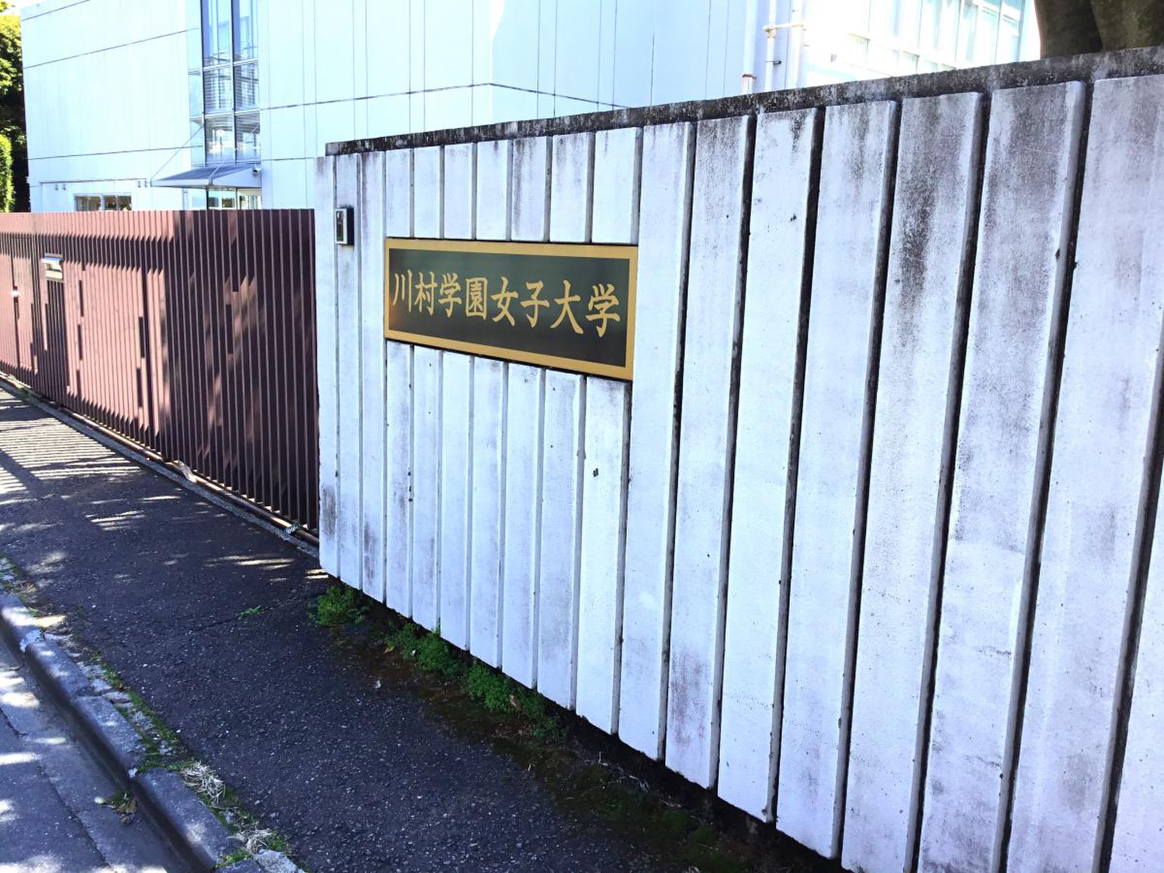 川村 学園 女子 大学 偏差 値
