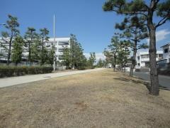 第8号りんくう笠松中緑地