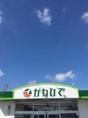 タウンプラザかねひで津嘉山店