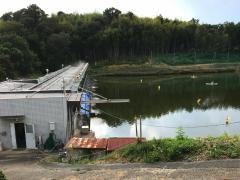 津山スポーツセンター　ゴルフ練習場