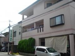 中村眼科