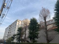 倉敷中央病院