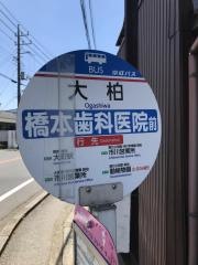「大柏」バス停留所