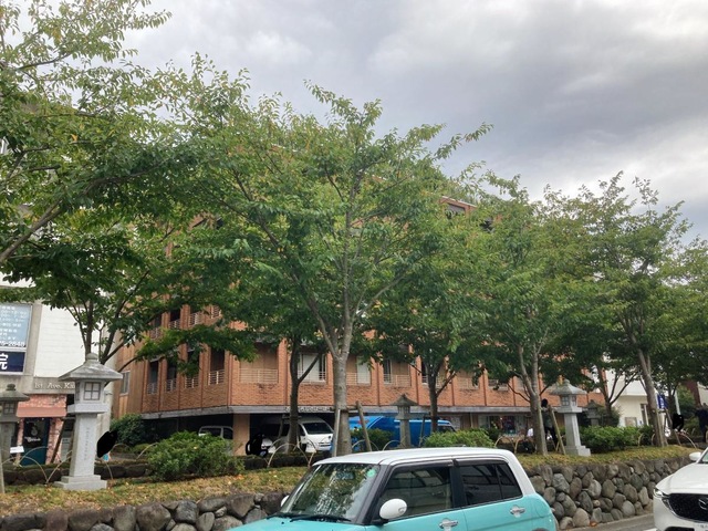 かまくらしるばーほーむ 施設外観