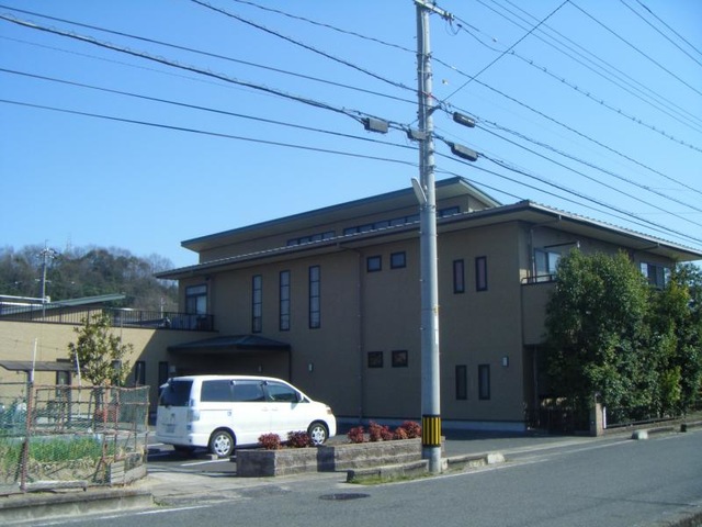 泰山木