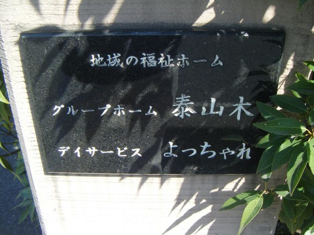 泰山木