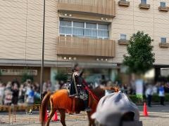 ぎふ信長まつり