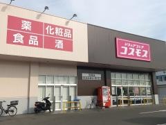 ドラッグストアコスモス忠岡店