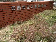大森幼稚園