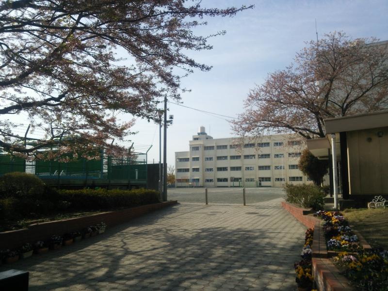 深谷小学校3