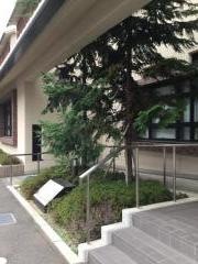 下京渉成小学校