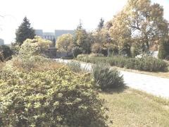 兵庫県立淡路文化会館
