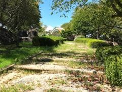向山公園