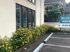 原歯科医院