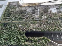 横山歯科