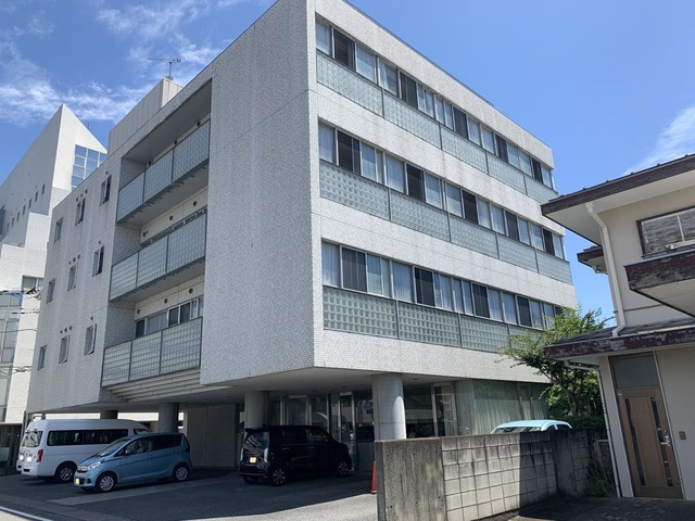 ひまわり