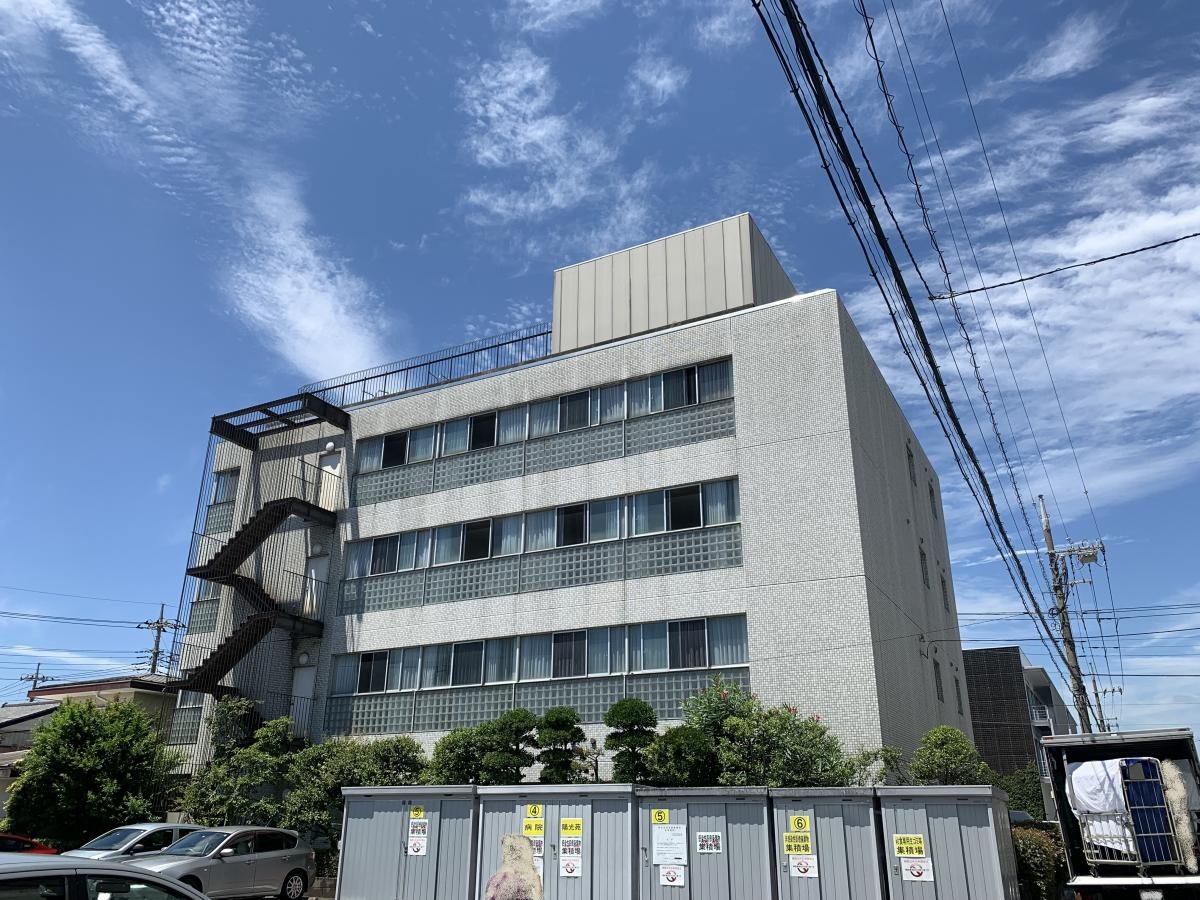 ひまわり