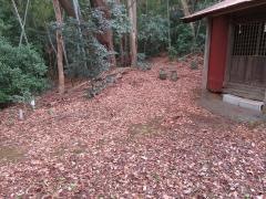蔵王神社