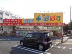 どらっぐぱぱす西竹の塚店