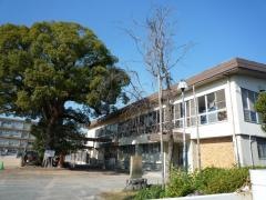 白浜小学校