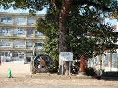 白浜小学校