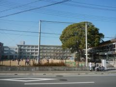 白浜小学校