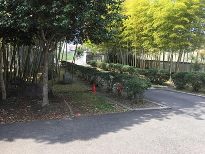 スポランド 別府市民体育館 別府市野口原