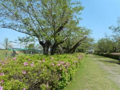 都島公園