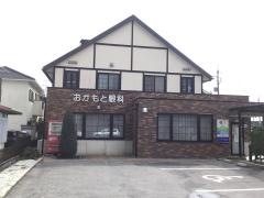 おかもと眼科
