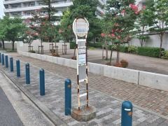 「コットンハーバー」バス停留所
