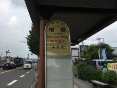 「桜橋(秦野市)」バス停留所