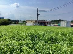 セイコーマート 城里石塚店
