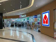 ヤマダデンキテックランドイオンモール豊川店