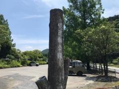 中運動公園