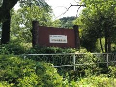 中運動公園