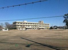 田ケ谷小学校