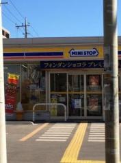 ミニストップ　川口中青木店