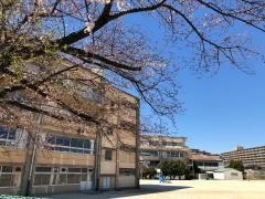 柿ノ木台小学校