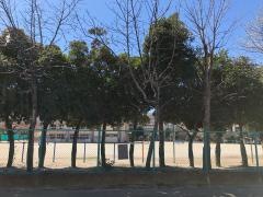 柿ノ木台小学校