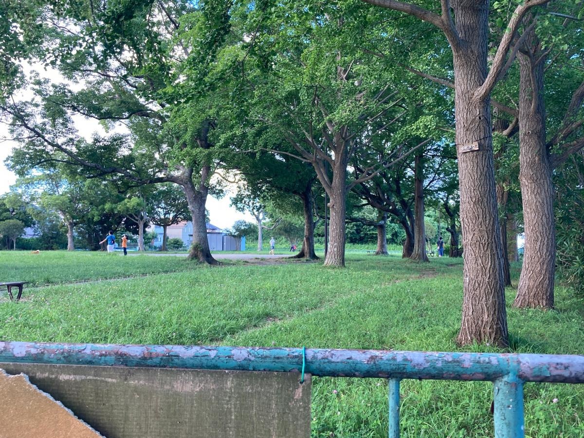 日野南公園の外観です。