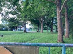 日野南公園