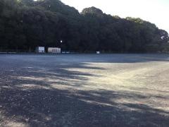 中央公園