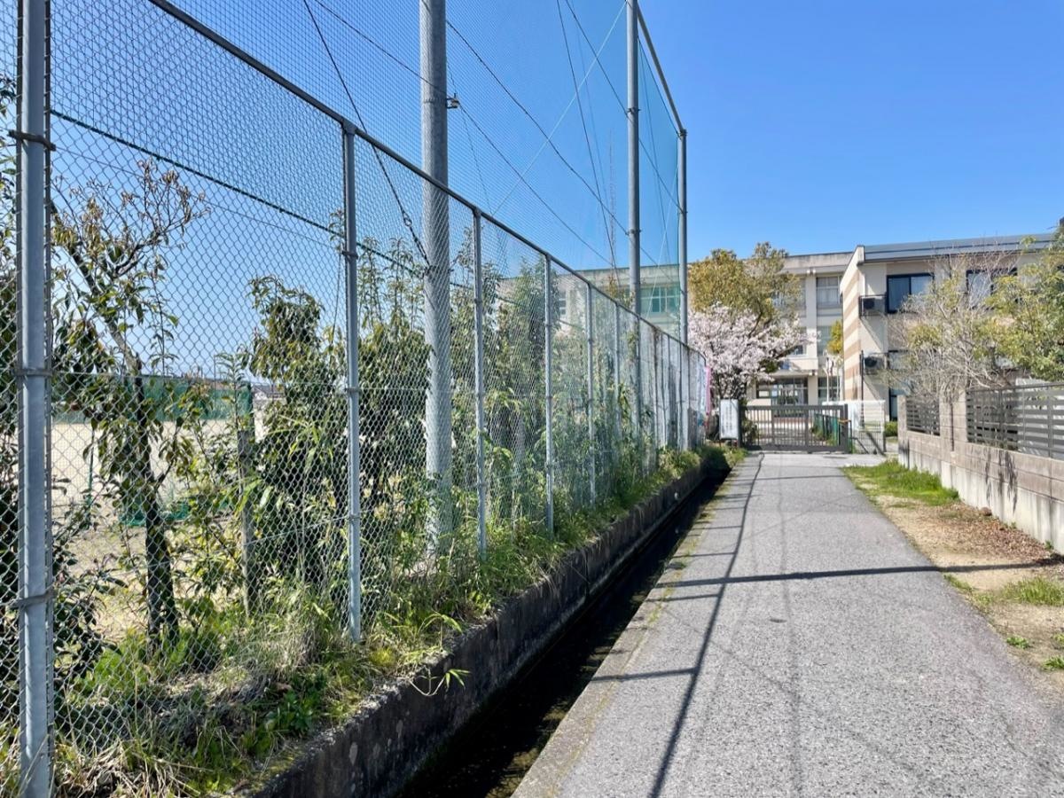 中央中学校