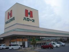 ハローズ広江店