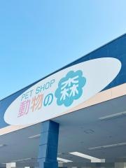 動物の森　黒崎店
