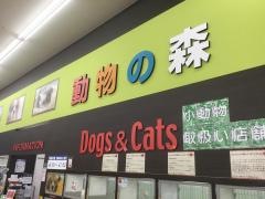 動物の森　黒崎店