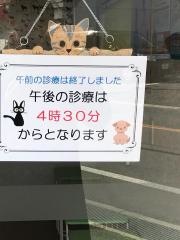 エンゼル動物病院