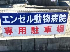 エンゼル動物病院