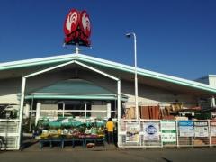 コメリハード＆グリーン　村田店